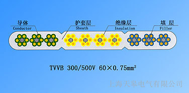 늚оҕl(xin)|